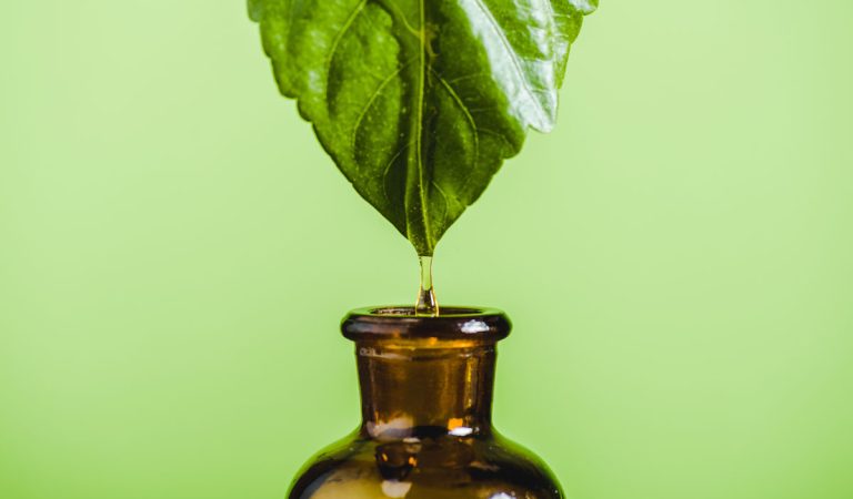 essential oil dripping from leaf into glass bottle isolated on green